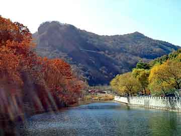 四不像正版，重塑數(shù)字時(shí)代的版權(quán)生態(tài)，四不像正版，重塑數(shù)字時(shí)代版權(quán)生態(tài)新秩序