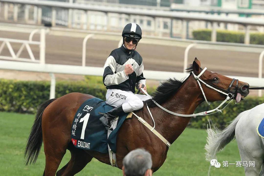 香港馬會(huì)，香港馬會(huì)賽馬活動(dòng)盛況