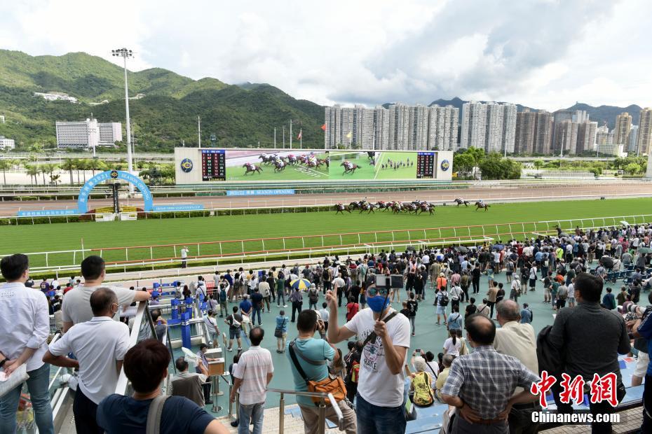 揭秘香港今晚特馬開什么，熱門語言解讀彩票奧秘，香港今晚特馬揭秘，彩票奧秘與熱門語言解讀