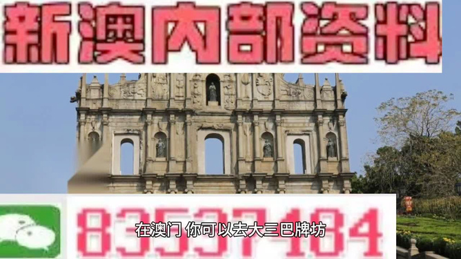 新澳門天天開獎澳門開獎直播——探索現(xiàn)代博彩文化的新紀元，新澳門天天開獎直播，現(xiàn)代博彩文化的新紀元探索