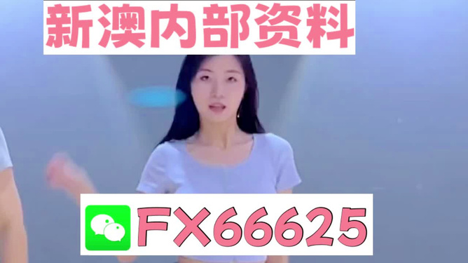 新澳門精準(zhǔn)資料大全管家婆料，澳門精準(zhǔn)資料大全，管家婆料全解析