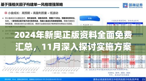 新澳2025精準(zhǔn)正版免費(fèi)資料,效率資料解釋落實(shí)_44