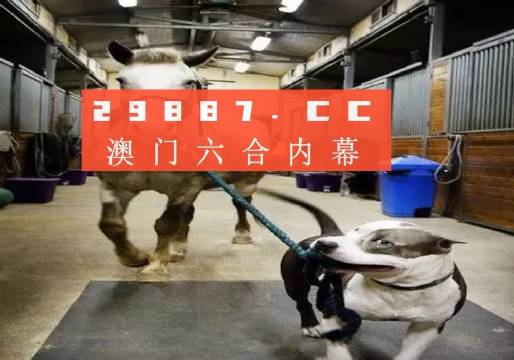 澳門一肖一碼一必中，同舟共濟(jì)向前行，澳門一肖一碼必中，同舟共濟(jì)向前行