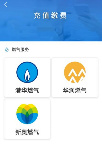 新奧門資料大全正版資料六肖——深度解析與探索，新奧門正版資料六肖深度探索與解析