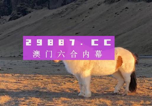 揭秘澳門今晚開碼料，展望2024年的新機遇與挑戰(zhàn)，澳門未來展望，揭秘今晚開碼料與迎接新機遇的挑戰(zhàn)