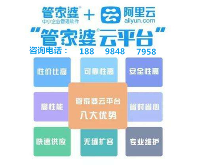 澳門管家婆，澳門管家婆，揭秘管理與服務的藝術