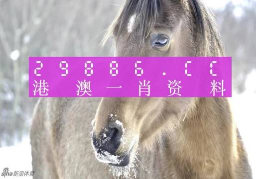 澳門(mén)一肖一碼百分百精準(zhǔn)預(yù)測(cè)——揭秘彩票背后的秘密，澳門(mén)彩票預(yù)測(cè)揭秘，一肖一碼百分百精準(zhǔn)背后的秘密