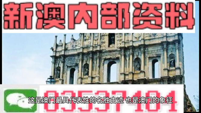 新澳門正版免費資料怎么查，澳門正版免費資料查詢指南
