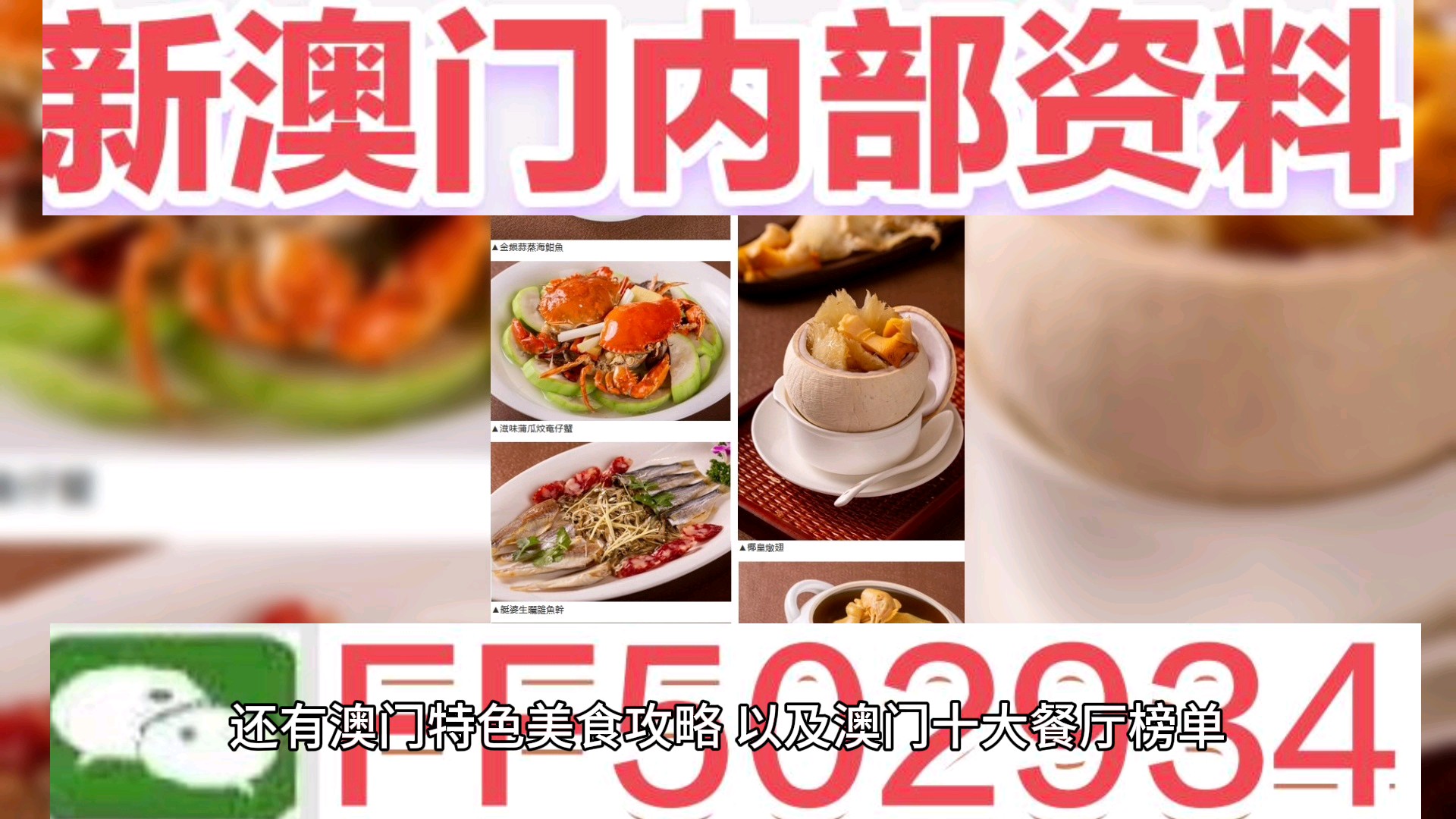 探索未來，澳門生肖彩票的奧秘與魅力，澳門生肖彩票的奧秘與魅力，探索未來之旅