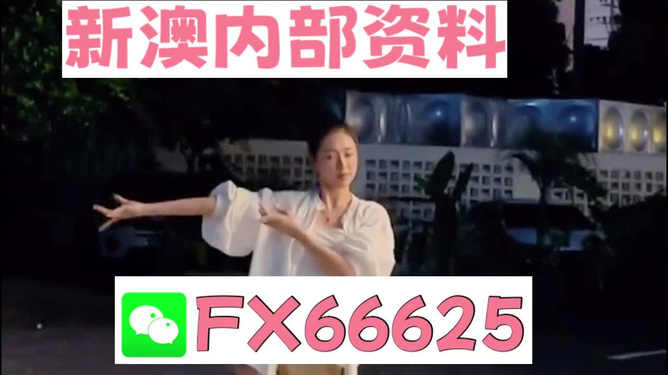 新澳六叔精準(zhǔn)資料大全111期，新澳六叔精準(zhǔn)資料大全第111期獨(dú)家解析