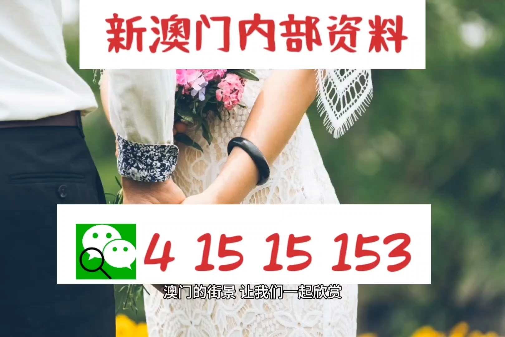 澳門六今晚開什么特馬，澳門今晚特馬開獎結果揭曉