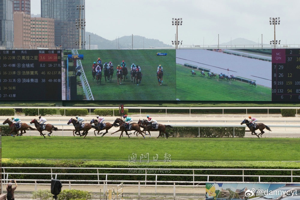 2025新澳門今晚開(kāi)特馬直播，澳門特馬直播預(yù)告，揭秘今晚開(kāi)獎(jiǎng)懸念