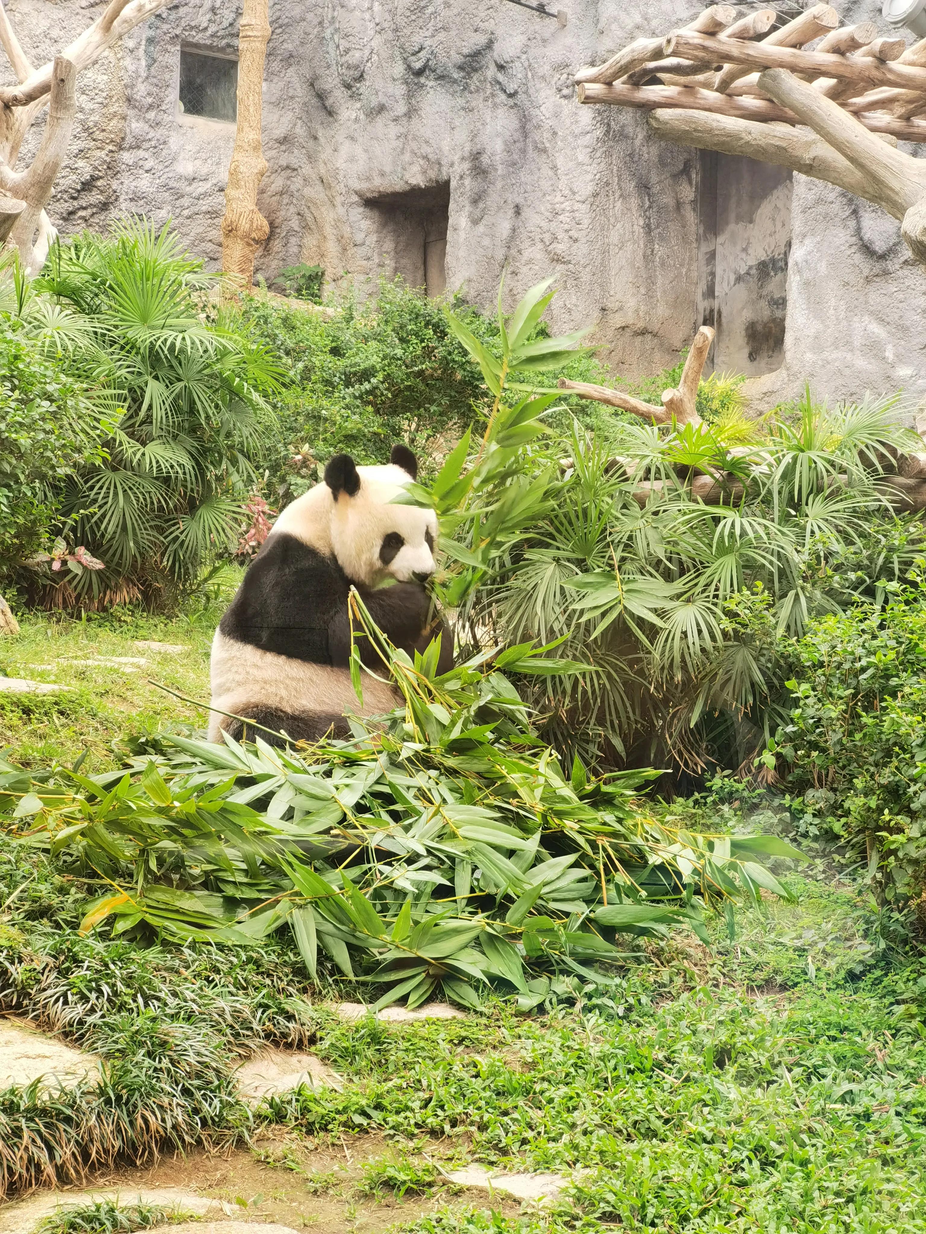 澳門最準(zhǔn)最快的免費(fèi)的，澳門最準(zhǔn)最快的免費(fèi)預(yù)測/資料