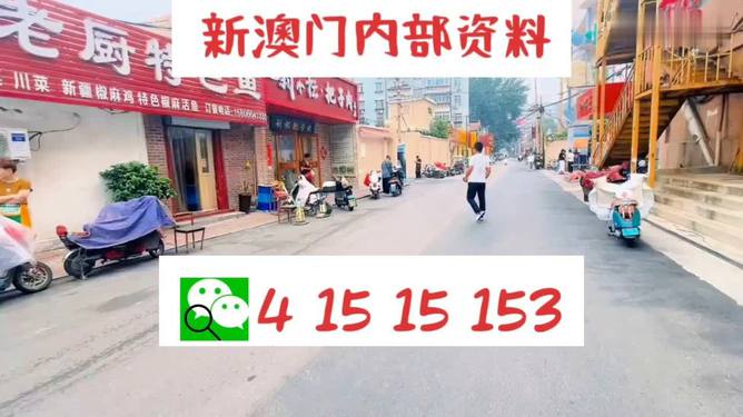 2025新澳門(mén)天天開(kāi)好彩大全正版，展望美好未來(lái)，澳門(mén)未來(lái)展望，新機(jī)遇下的天天好彩之路
