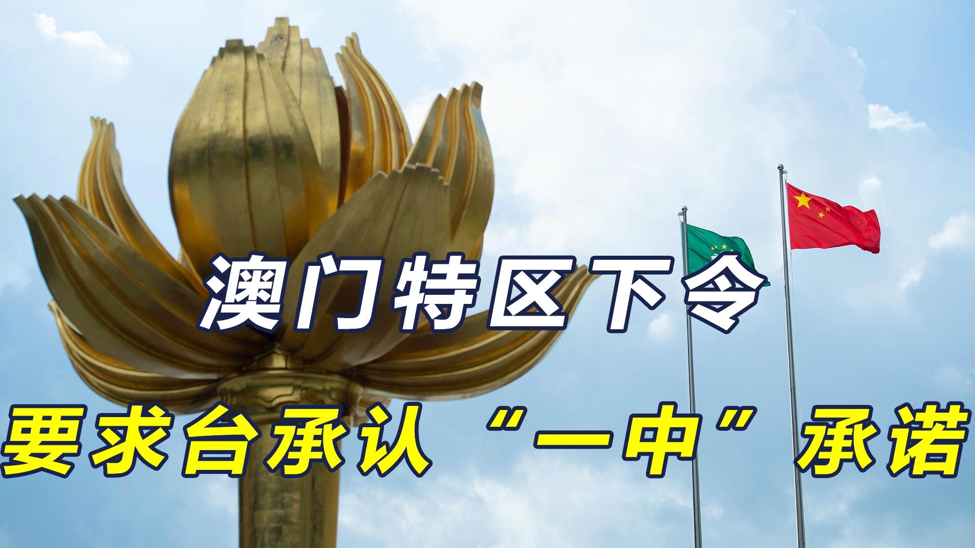 澳門一碼一肖一待一中四不像，深度解讀與探索，澳門一碼一肖一待一中四不像，深度解讀與探索揭秘