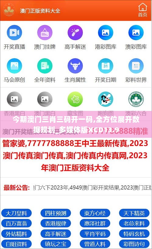 澳門kl33一肖的神秘面紗，澳門kl33一肖的神秘面紗揭曉