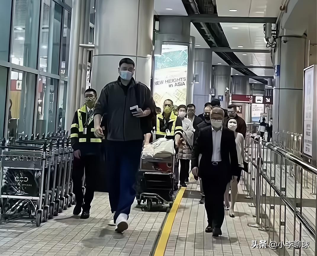 今晚澳門(mén)開(kāi)一肖四不像圖片，揭秘背后的神秘面紗，揭秘澳門(mén)今晚開(kāi)一肖四不像圖片背后的神秘面紗