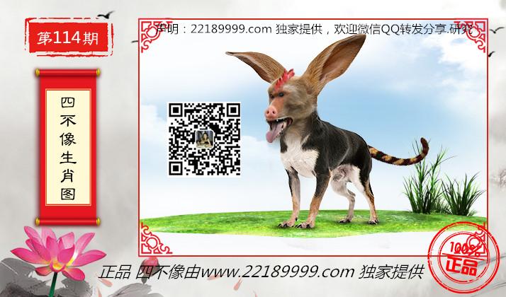四不像正版資料，四不像正版資料詳解