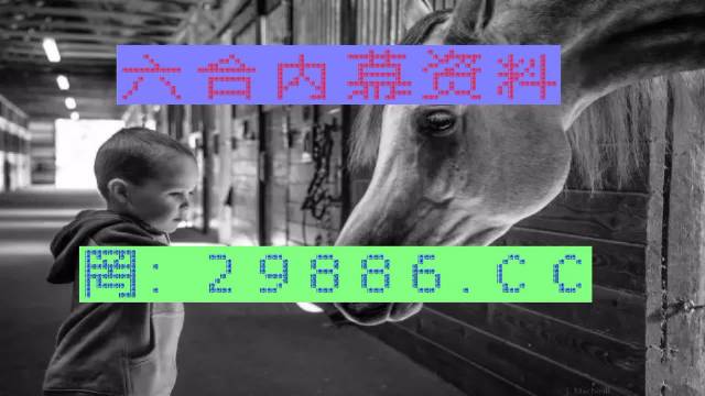 馬會傳真與澳門管家婆的百分百信賴，馬會傳真與澳門管家婆的信賴之選