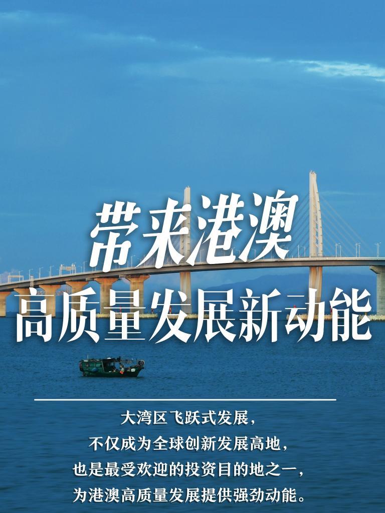 2025新澳門精準免費大全，澳門最新精準免費資料大全（2025版）