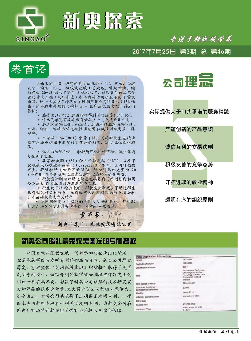 2025新澳正版免費資料，2025新澳正版免費資料大全