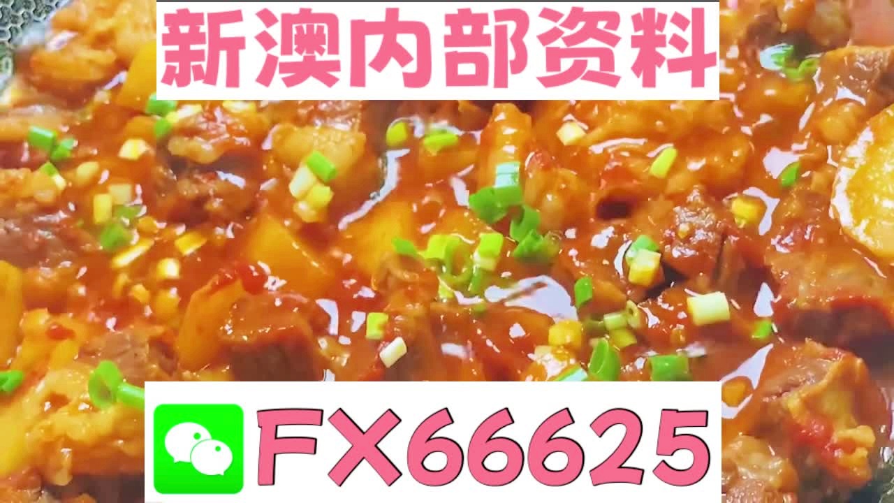 新奧2025年免費資料大全，新奧2025年免費資料總覽