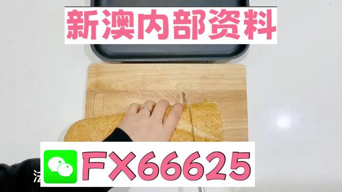 新澳門內(nèi)部一碼精準(zhǔn)公開，探索前沿科技的魅力，澳門前沿科技揭秘，一碼精準(zhǔn)公開探索科技魅力