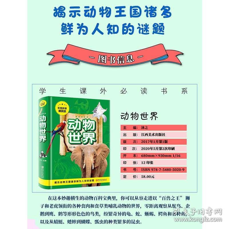 澳門正版資料大全資料生肖卡的奇幻世界，澳門正版資料大全，生肖卡的奇幻樂園