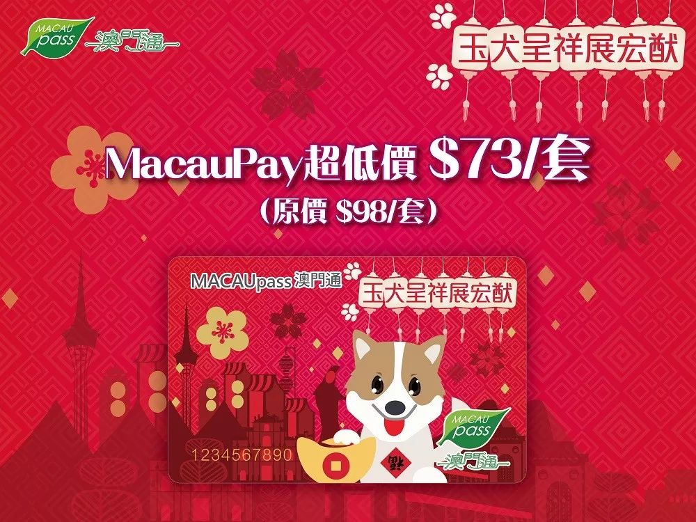 澳門正版資料大全資料生肖卡，澳門正版資料大全，生肖卡全收錄