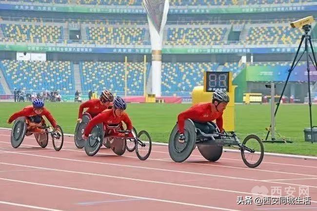 2025新澳門正版免費(fèi)資本車，澳門正版免費(fèi)資本車，未來趨勢與機(jī)遇