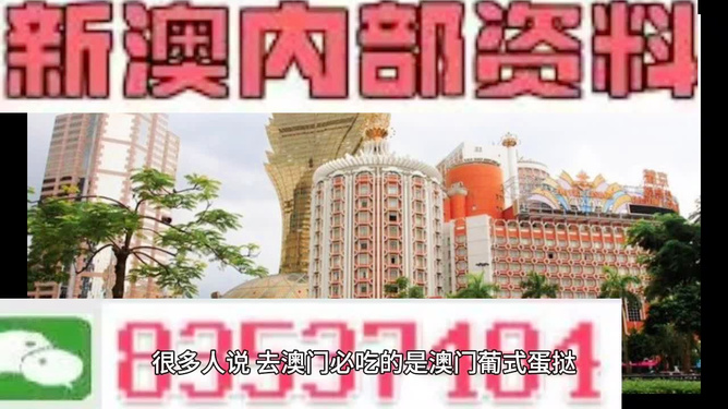 澳門免費精準資料，探索與解析，澳門免費精準資料解析與探索