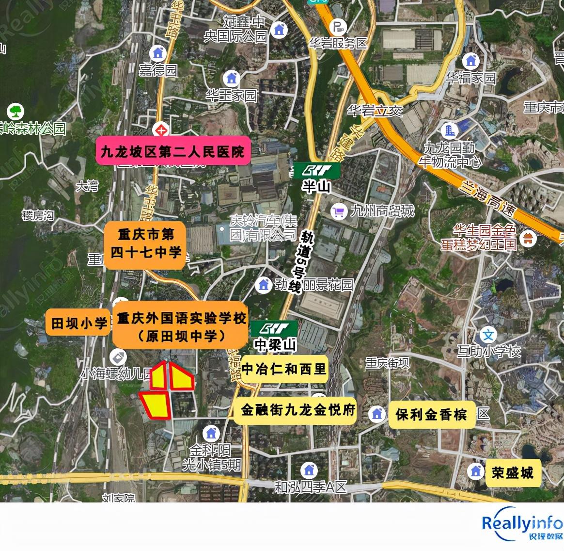 邁向2025，資料免費大全的藍圖，邁向2025，資料免費大全藍圖揭秘