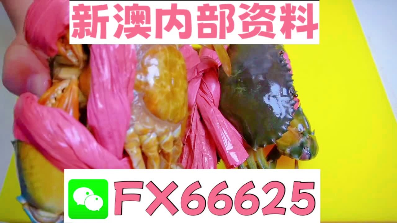 揭秘2025新澳精準(zhǔn)資料大全，深度解讀與概述，揭秘2025新澳精準(zhǔn)資料大全，深度解讀與全面概述